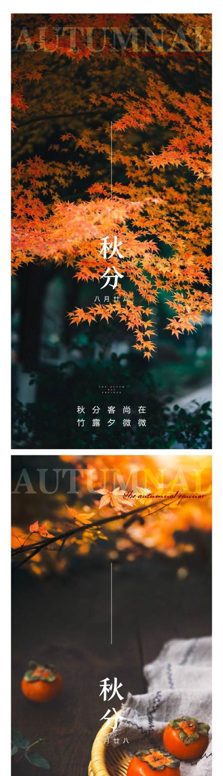源文件下载【秋分节气系列海报】编号：77820012295471170