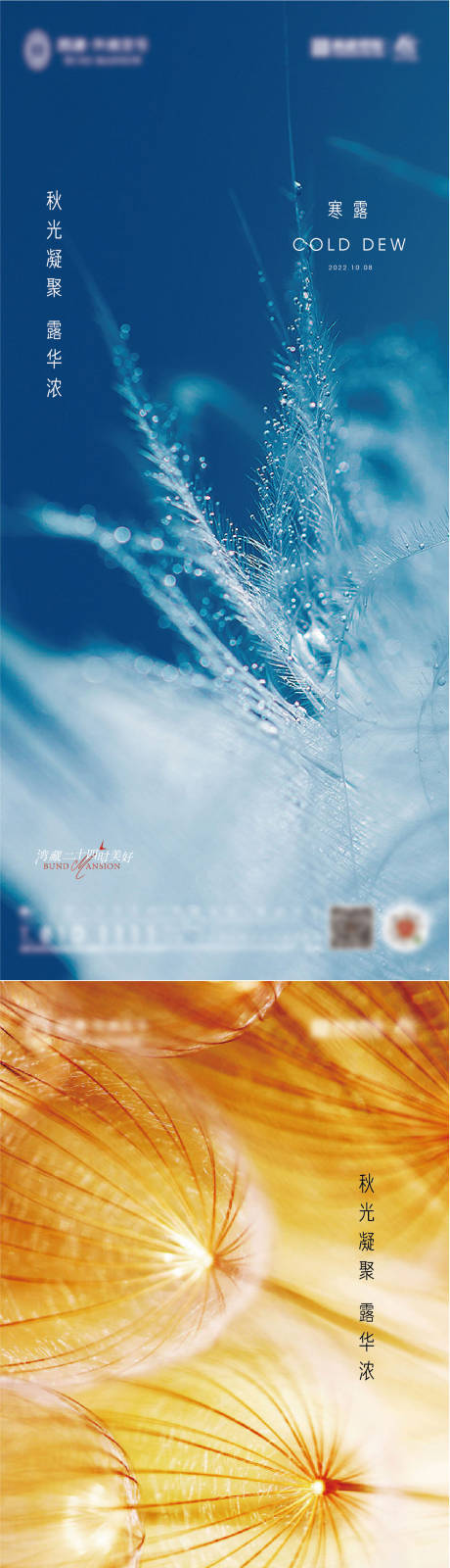 源文件下载【享设计】搜索编号：20210012412581303【寒露意境系列海报】