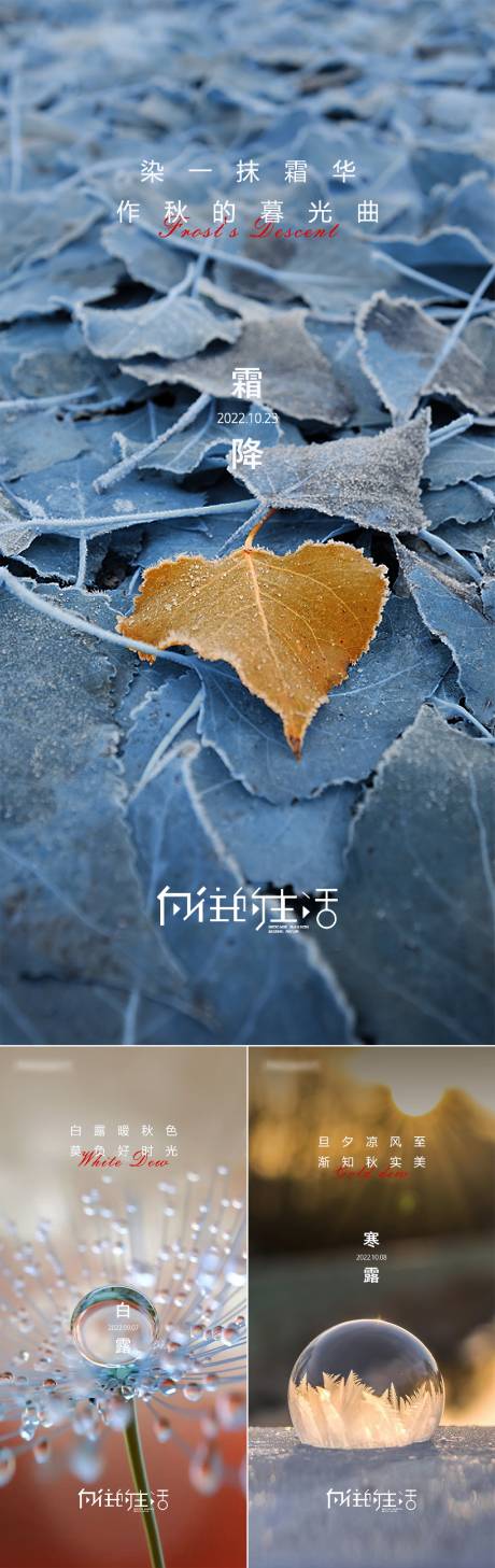 源文件下载【地产白露寒露霜降海报】编号：71500012421706698