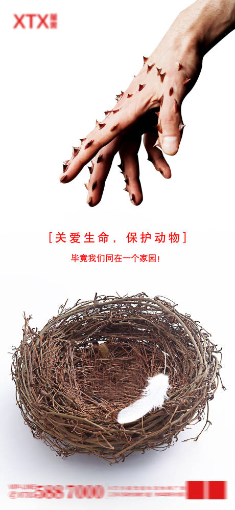 源文件下载【关爱生命保护动物爱护家园简约海报】编号：32440012499616342