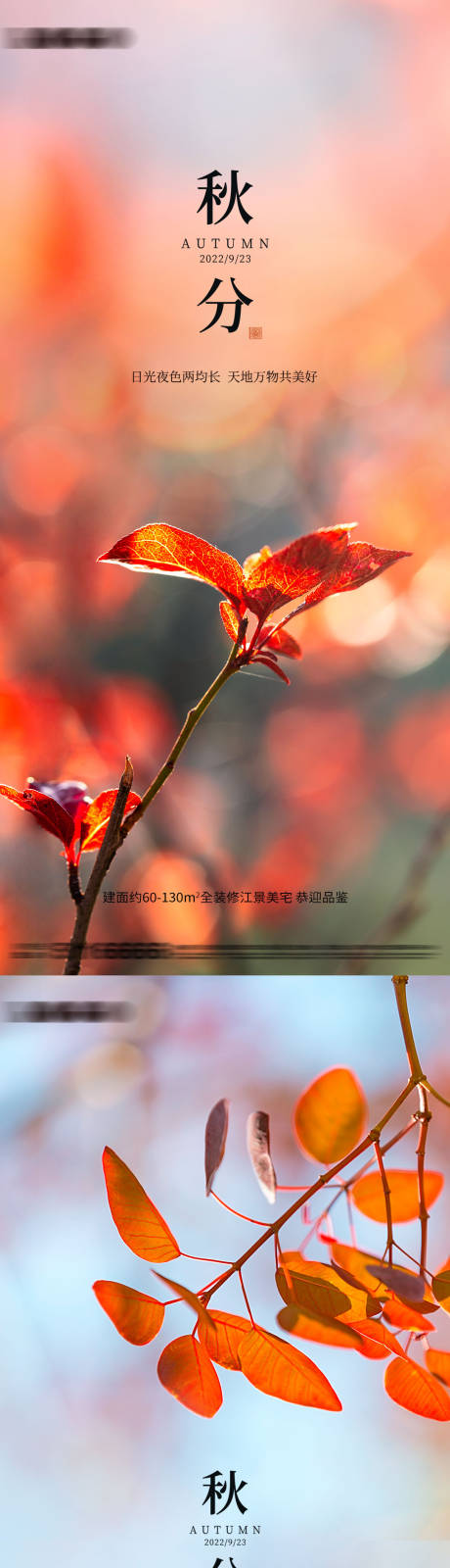 源文件下载【秋分节气海报】编号：67350012253864329