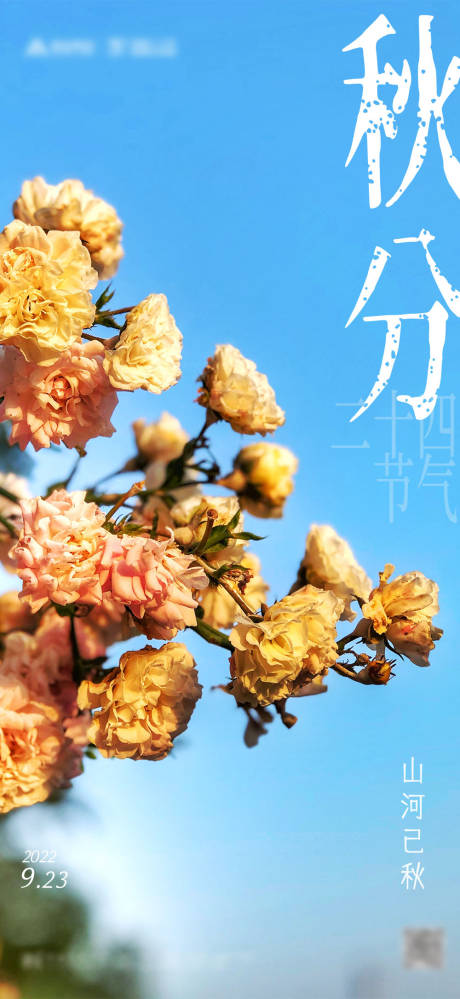 源文件下载【二十四节气秋分海报】编号：37780012377196744