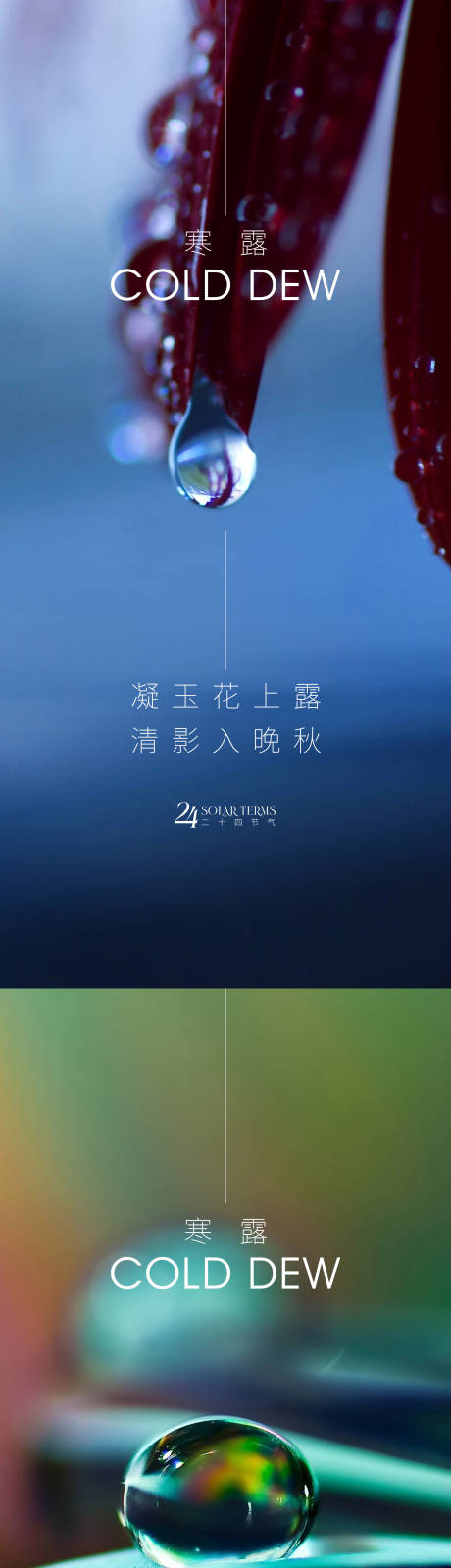 源文件下載【享設計】搜索編號：75200012533756537【寒露節氣系列海報】
