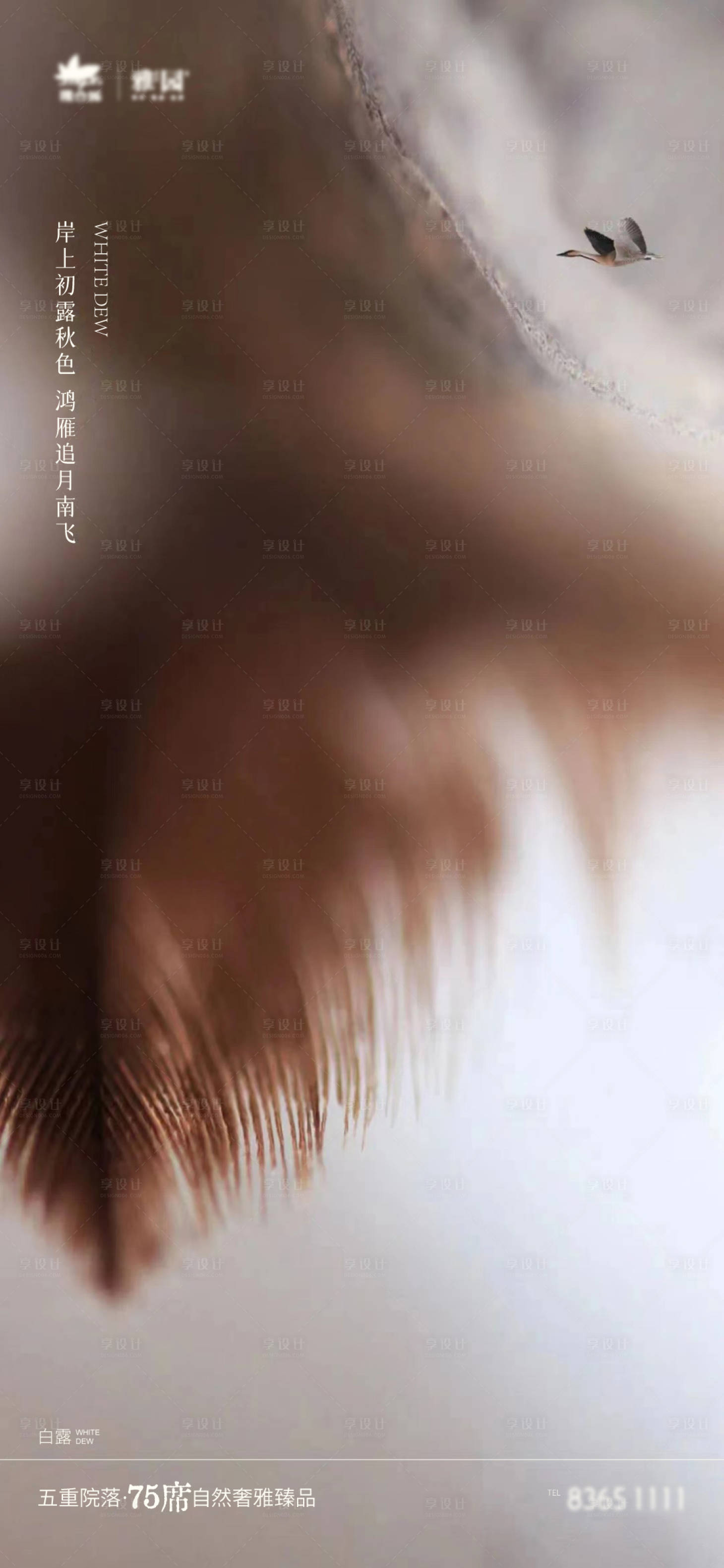 源文件下载【白露海报】编号：99200012821018930