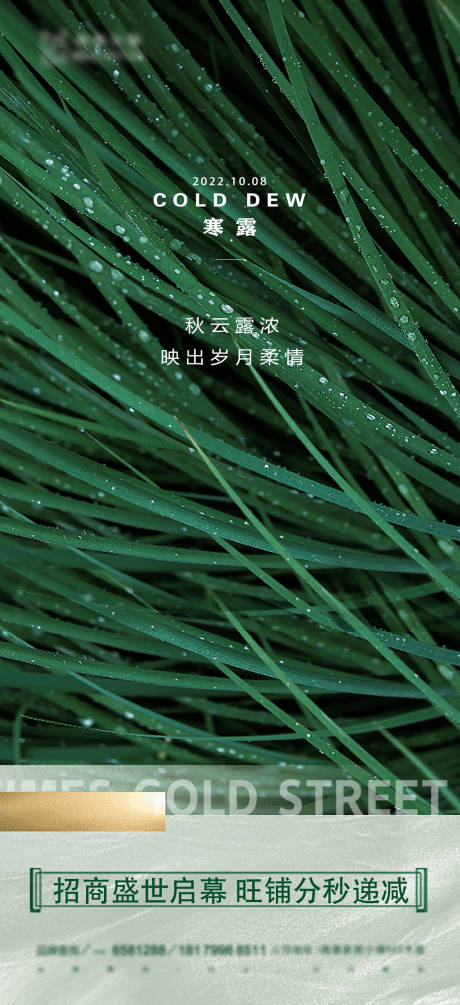 源文件下载【地产寒露海报】编号：59730012552411095