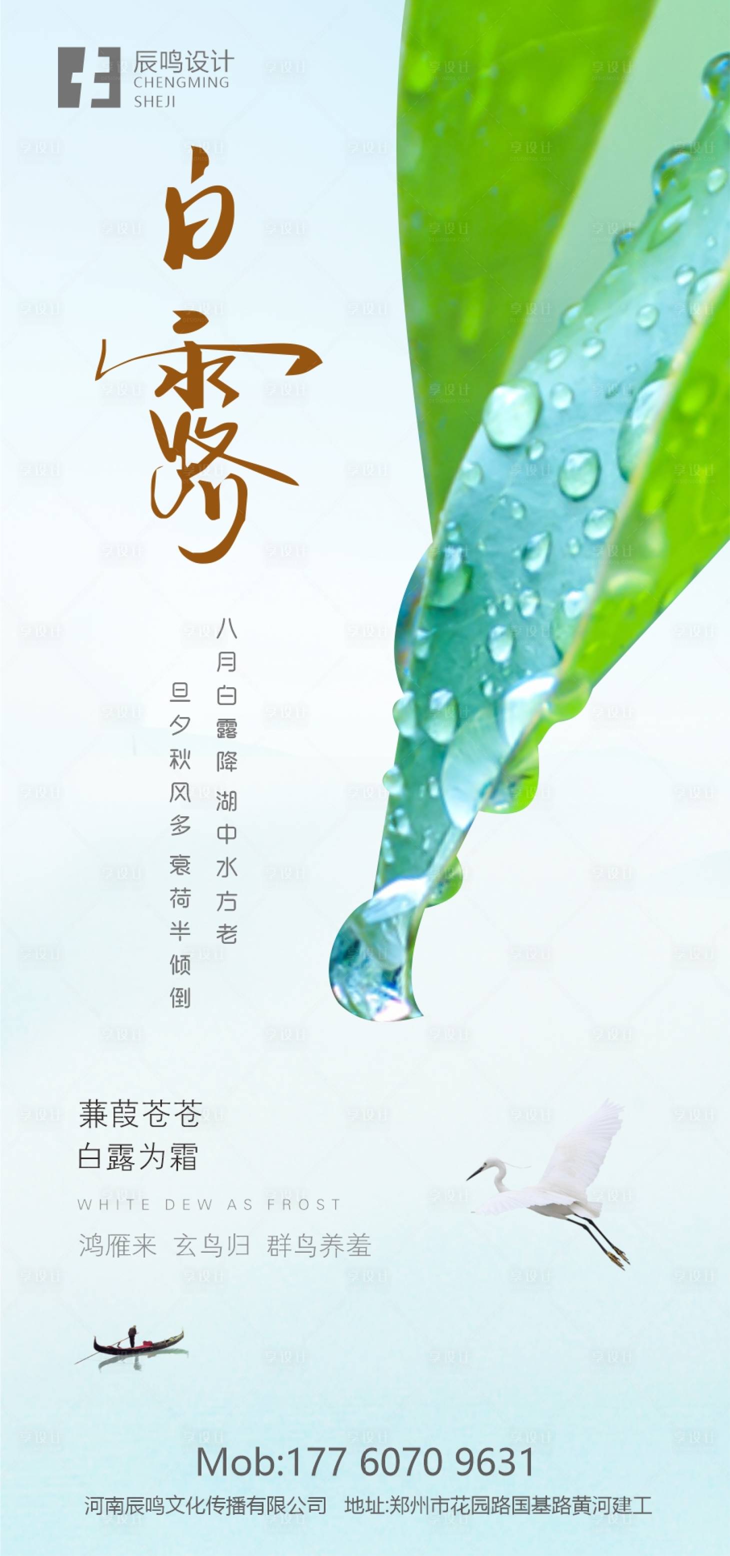 源文件下载【享设计】搜索编号：63040012650744659【白露 】