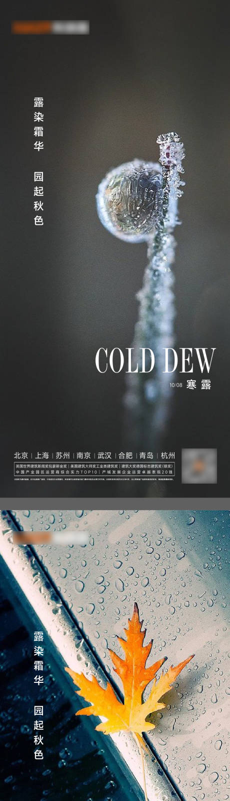 源文件下載【享設(shè)計(jì)】搜索編號(hào)：64120012545194956【寒露海報(bào)】