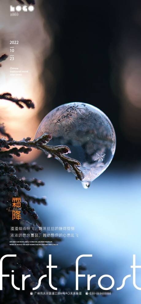 霜降医美海报