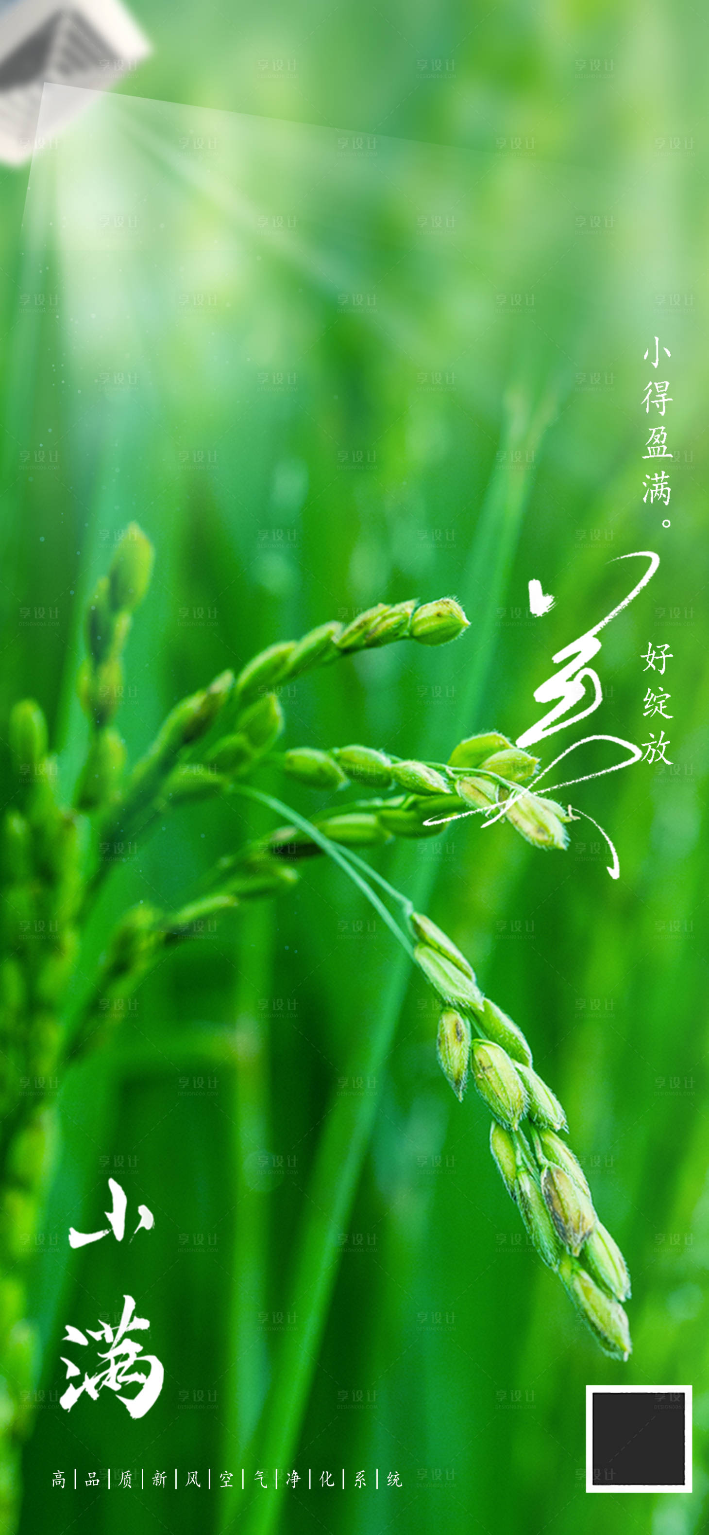 源文件下载【享设计】搜索编号：57540012942629302【小满海报】
