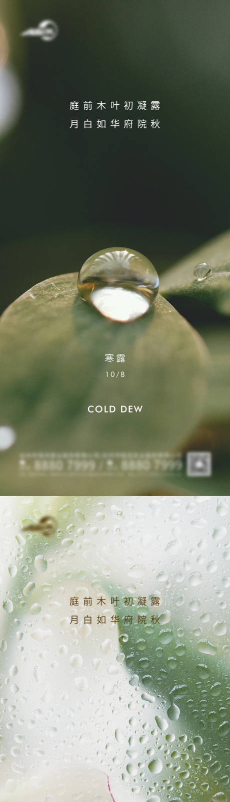 源文件下載【寒露節(jié)氣海報】編號：55200012540677367