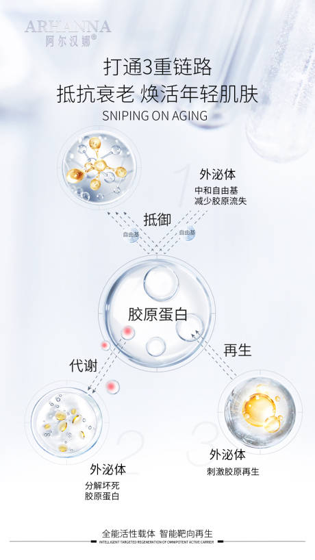 源文件下载【外泌体原理海报】编号：11800012786815819