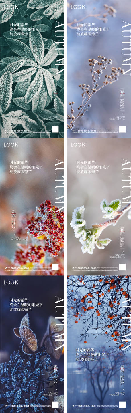源文件下载【霜降节气海报】编号：94530012795795960