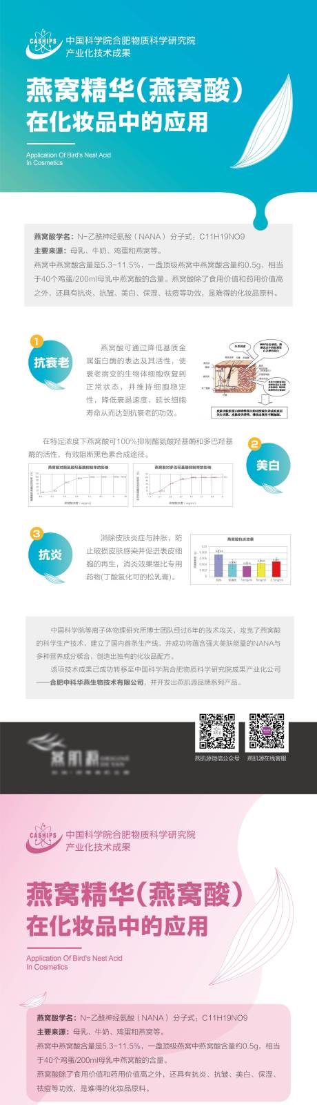 源文件下载【化妆品易拉宝】编号：20221025173000706