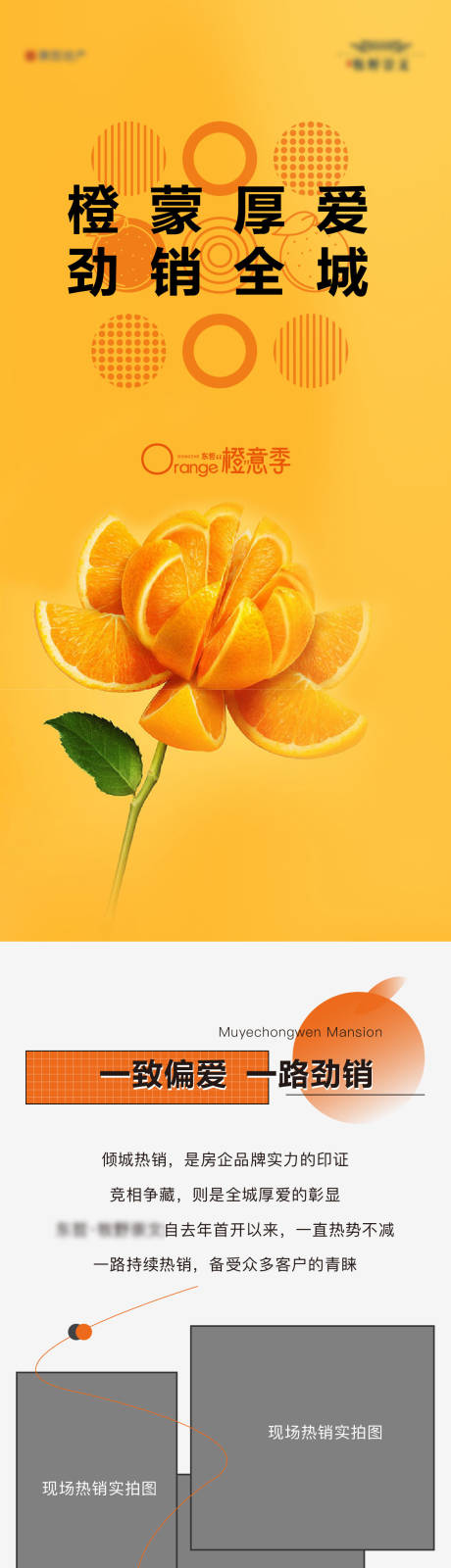 地产送橙子长图