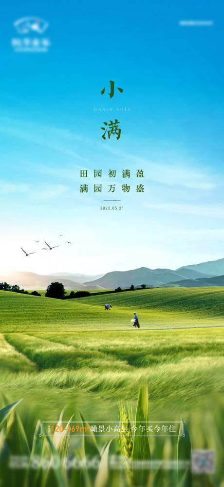 源文件下载【地产小满节气海报】编号：20221024155848158