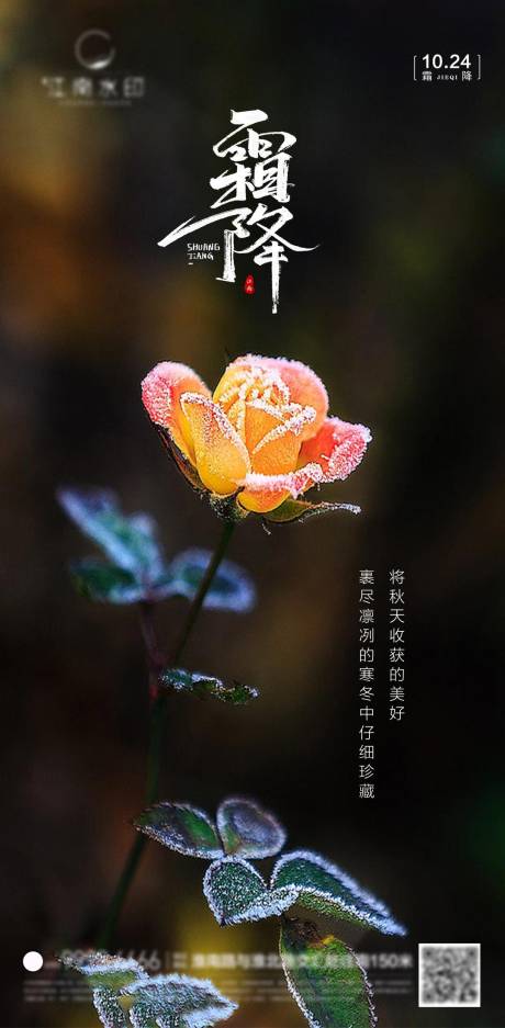 源文件下载【霜降】编号：73990012811497903