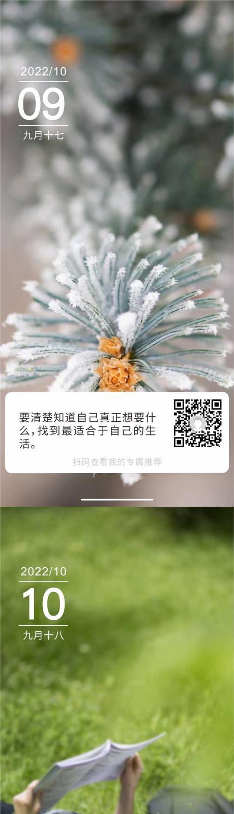 源文件下载【早安寄语海报】编号：37810012744959816