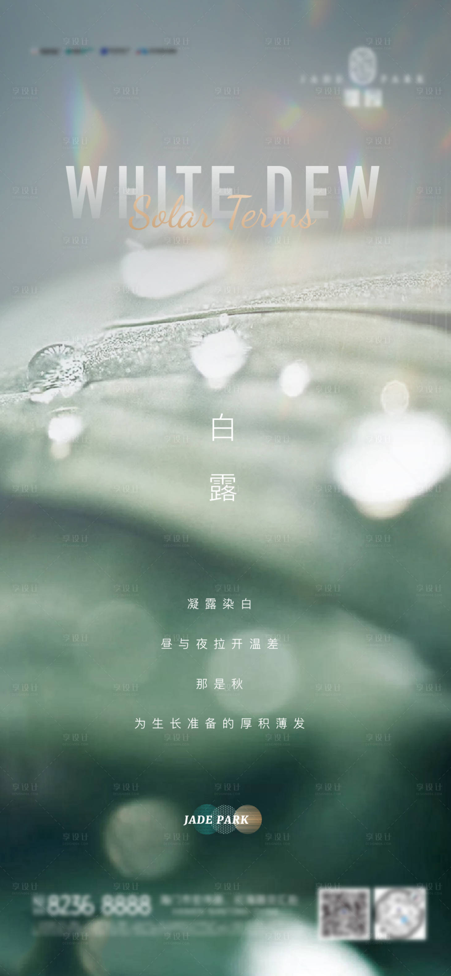 源文件下载【地产白露海报】编号：47250012599738103