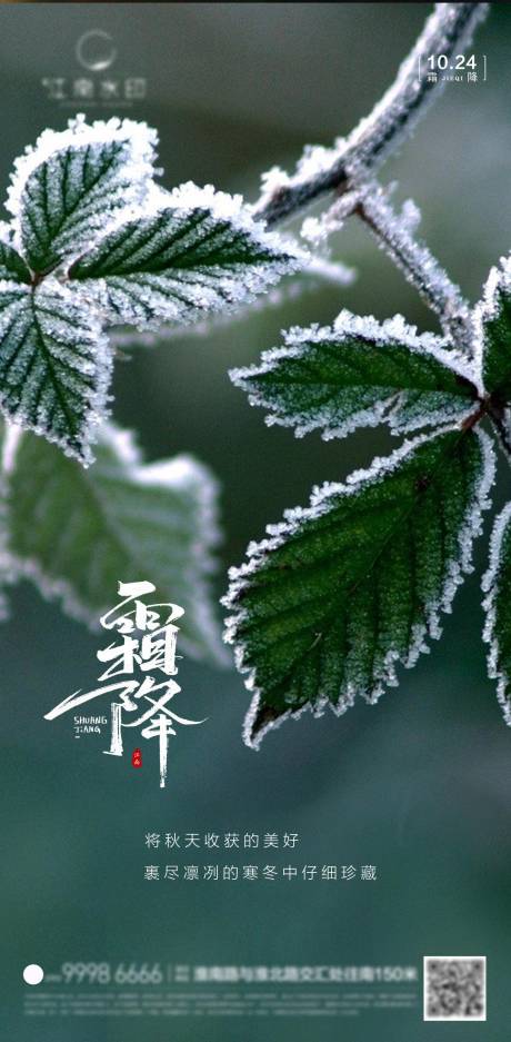 源文件下載【享設計】搜索編號：12700012811587642【霜降節氣海報】