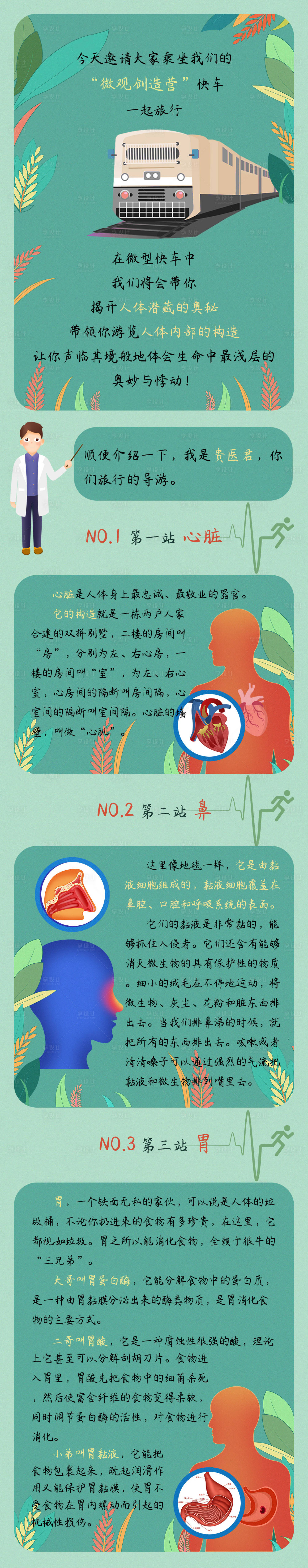 源文件下载【人体器官科普医美长图】编号：38940013002806771