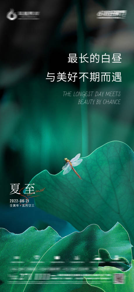 源文件下载【夏至节气绿色海报】编号：95390012791781187