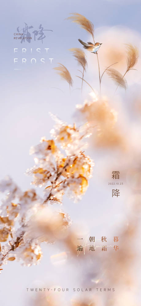 源文件下载【霜降节气海报】编号：78150012686407001
