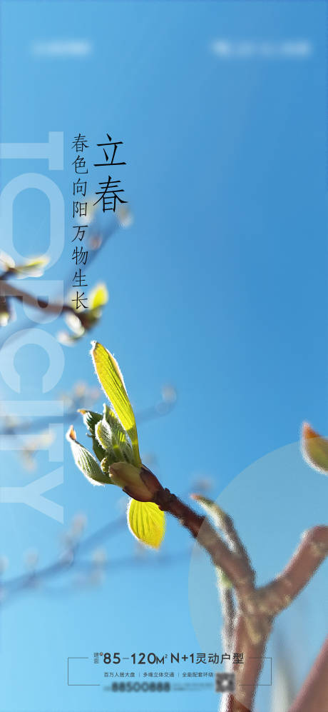 源文件下載【立春海報 】編號：51960013032051918