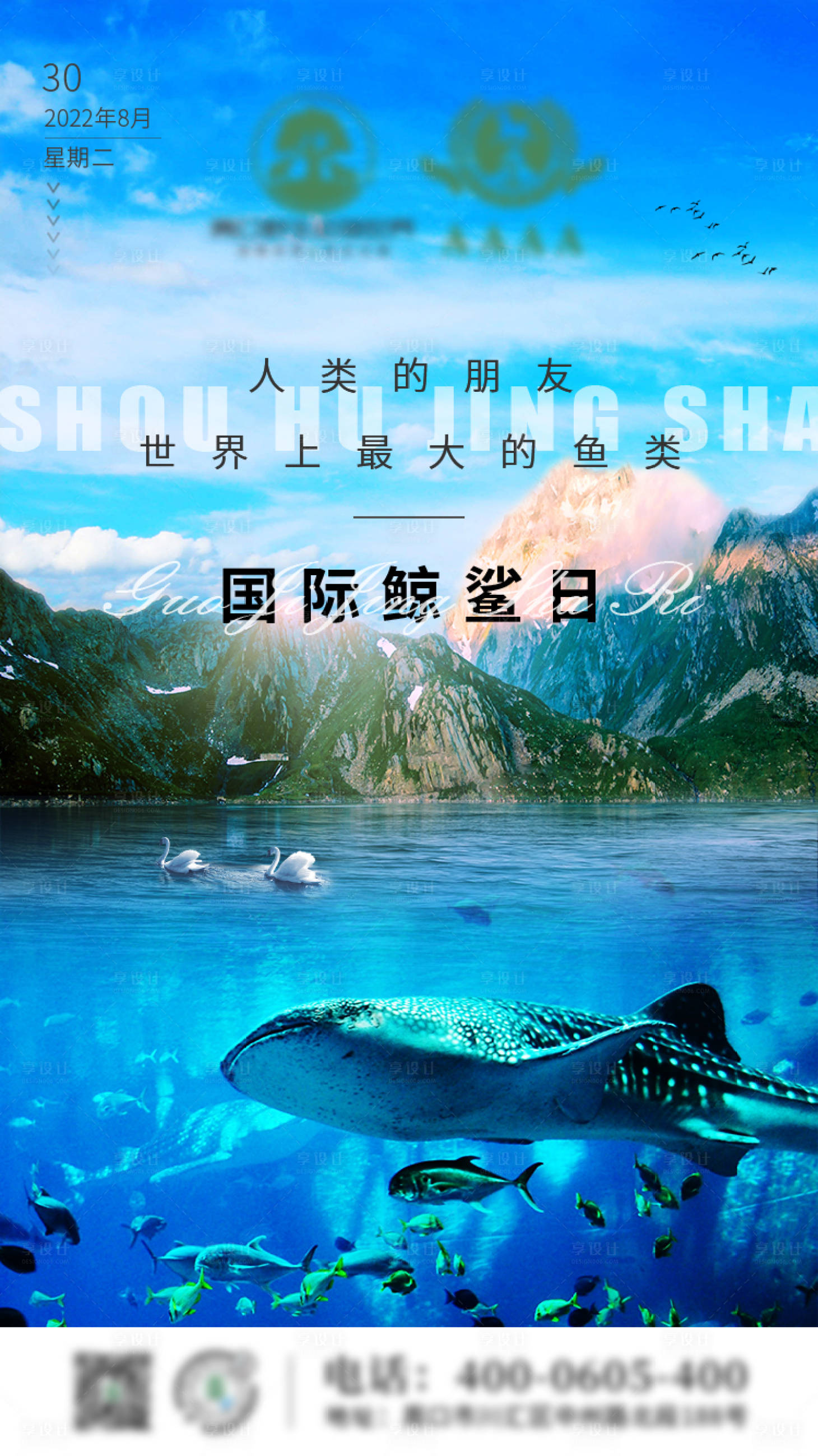 编号：20221015091225426【享设计】源文件下载-国际鲸鲨日海报