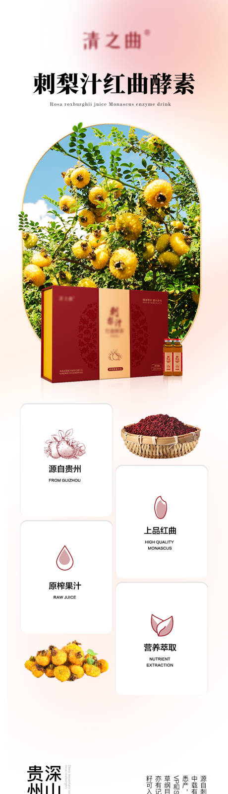 源文件下载【刺梨汁红曲酵素】编号：18810012681932819