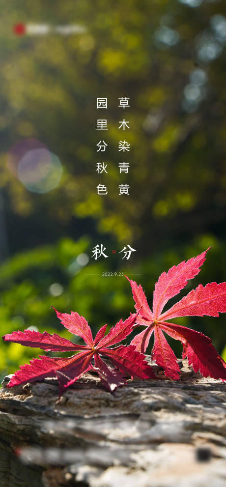 源文件下載【享設計】搜索編號：36160012642146703【二十四節氣秋分】