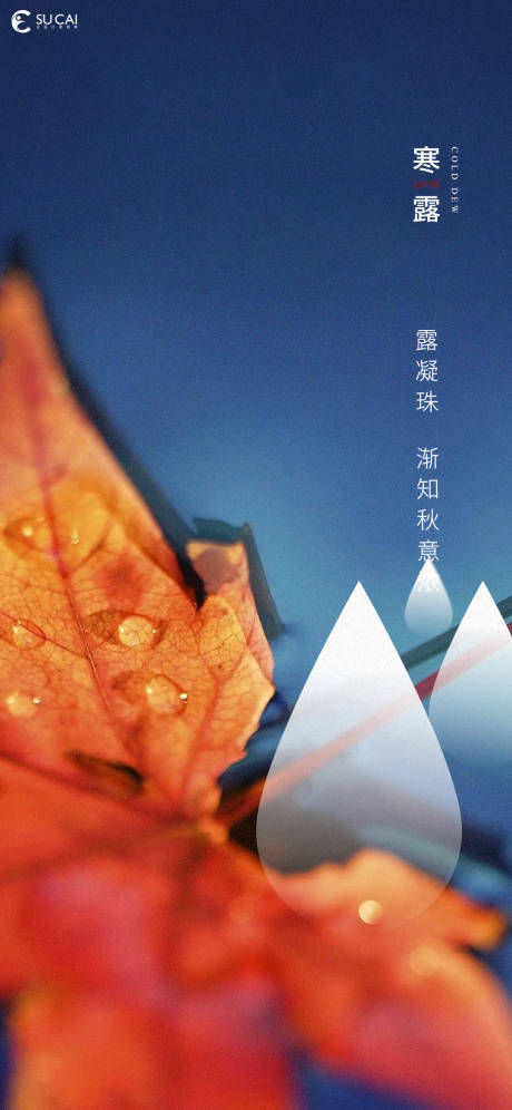 源文件下载【享设计】搜索编号：74540012540567490【寒露】