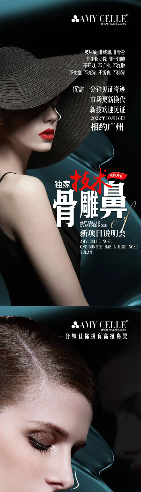 源文件下载【医美隆鼻项目】编号：61160012518276029