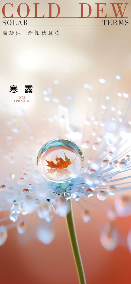源文件下载【寒露节气海报】编号：56460012550289761