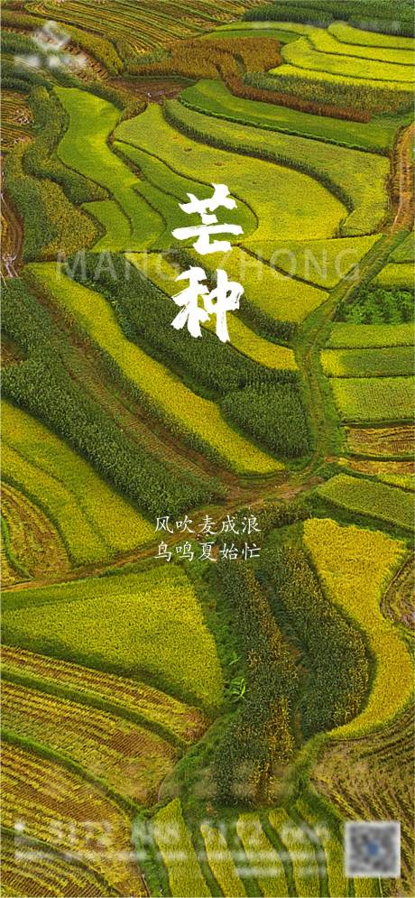 源文件下载【芒种节气海报】编号：59220013012853815