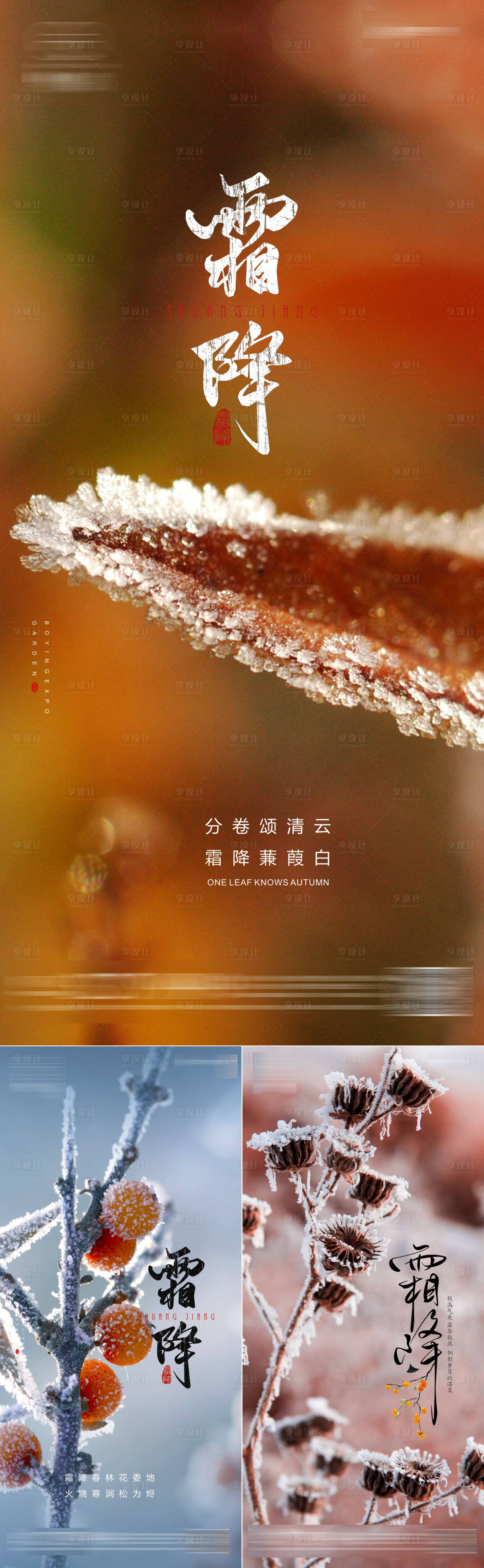 源文件下载【霜降节气】编号：91850012714154688