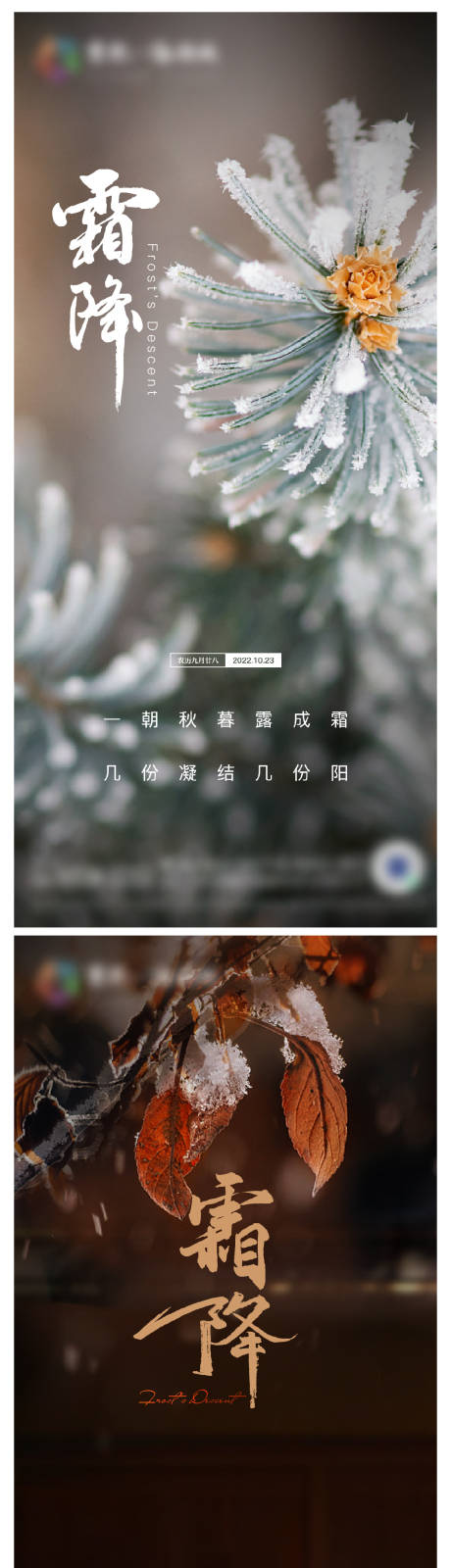 源文件下载【地产霜降节气海报】编号：49860012775935231