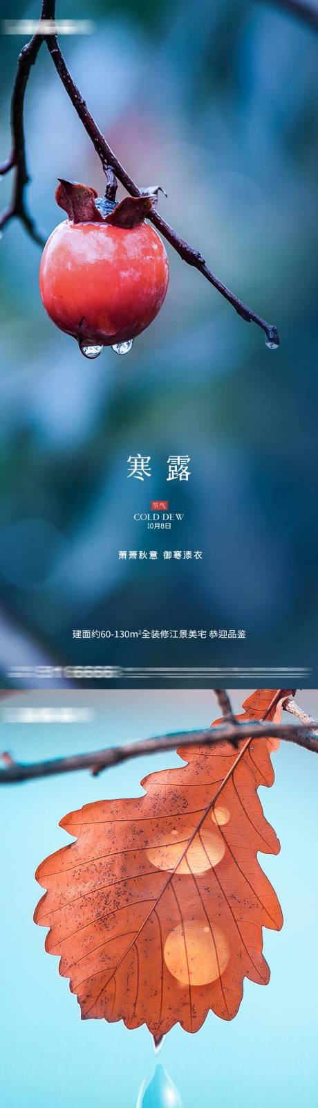 源文件下载【寒露节气海报】编号：93840012548638856