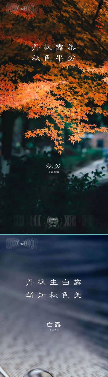 源文件下载【节气海报 】编号：30700012708354102