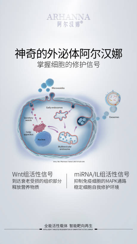 源文件下载【外泌体原理海报】编号：37330012786779243