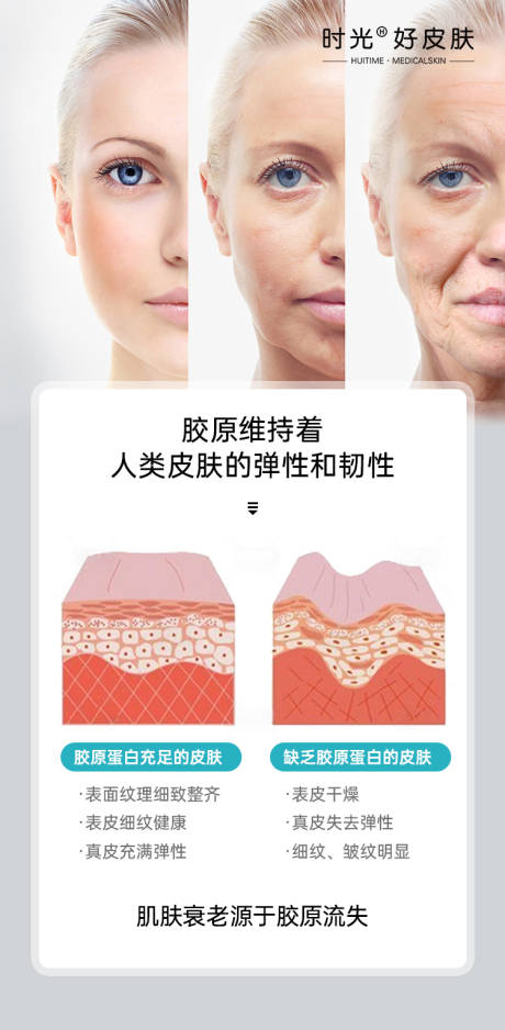 源文件下載【衰老進程海報】編號：86840013014833531