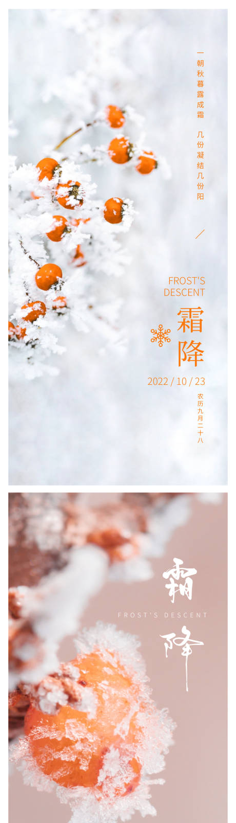 源文件下载【霜降节气海报 】编号：34110012753551489