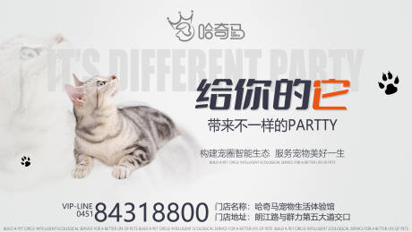 源文件下载【宠物店开业海报】编号：65610012837944152