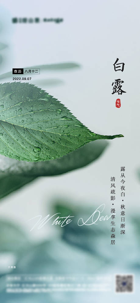 源文件下载【白露节气稿】编号：80460012585822533