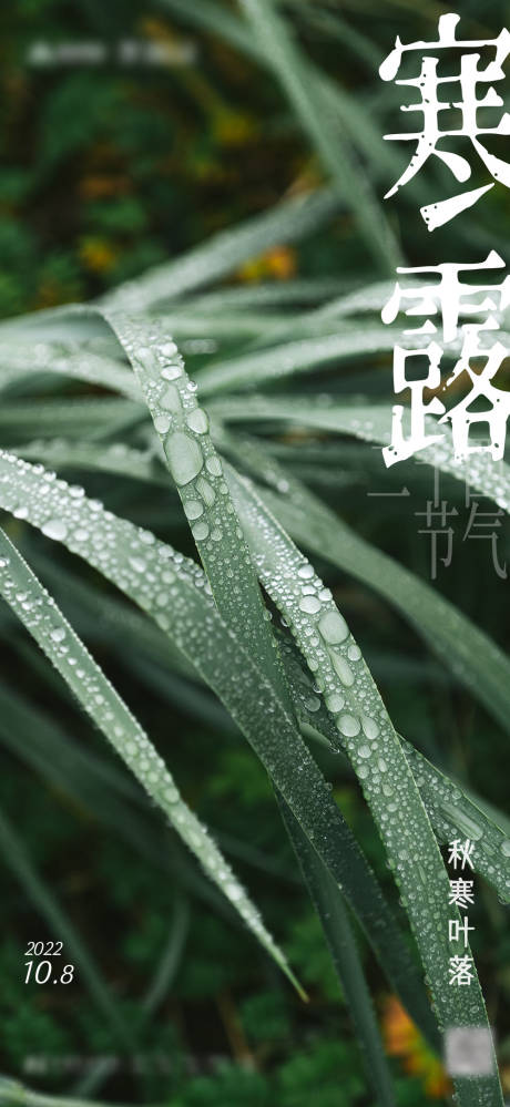源文件下载【寒露海报】编号：37110012570476649