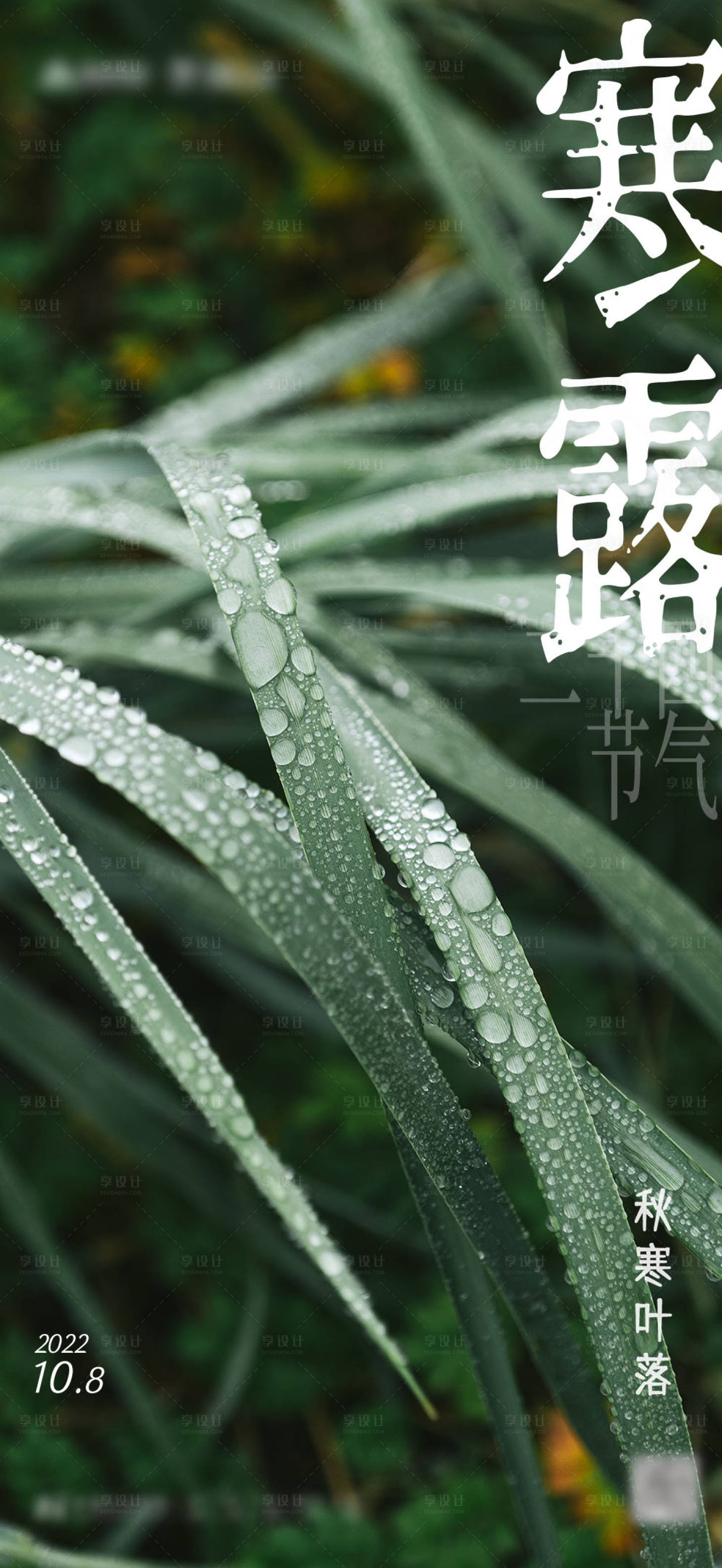 源文件下载【享设计】搜索编号：37110012570476649【寒露海报】