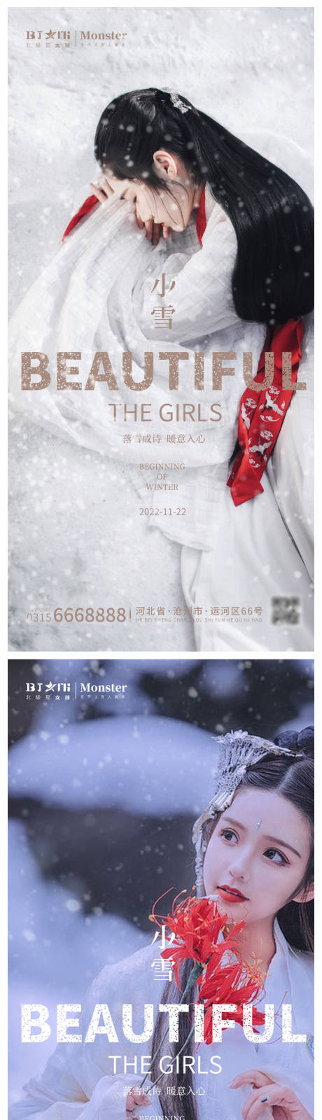 源文件下载【医美小雪海报】编号：39170013363548410