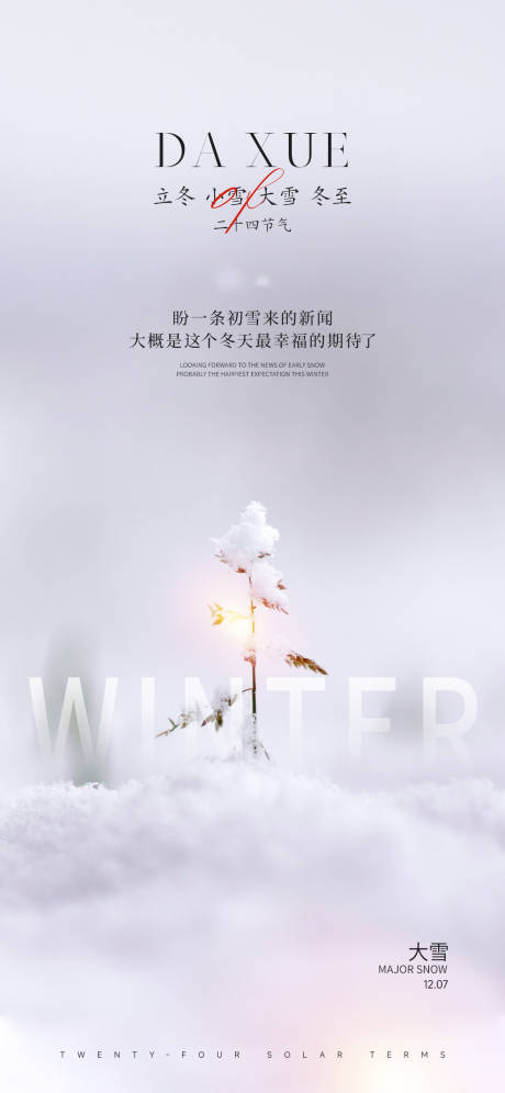 源文件下载【大雪海报】编号：49550013534641546