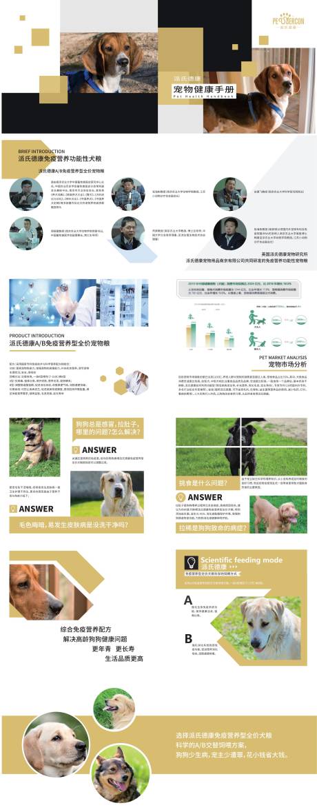 编号：20221130215220603【享设计】源文件下载-宠物健康宣传手册