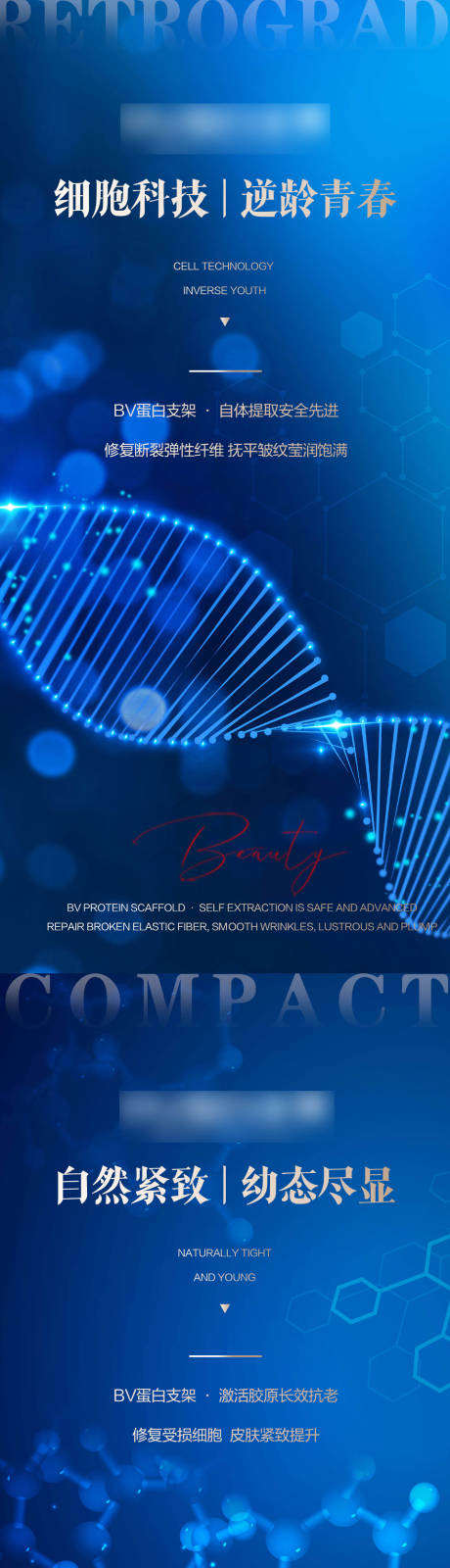 编号：20221104113906061【享设计】源文件下载-Bv蛋白支架科技系列海报