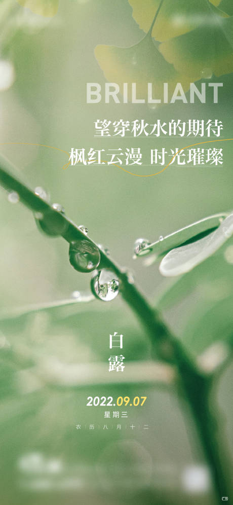 源文件下载【白露节气海报】编号：26430013596253890